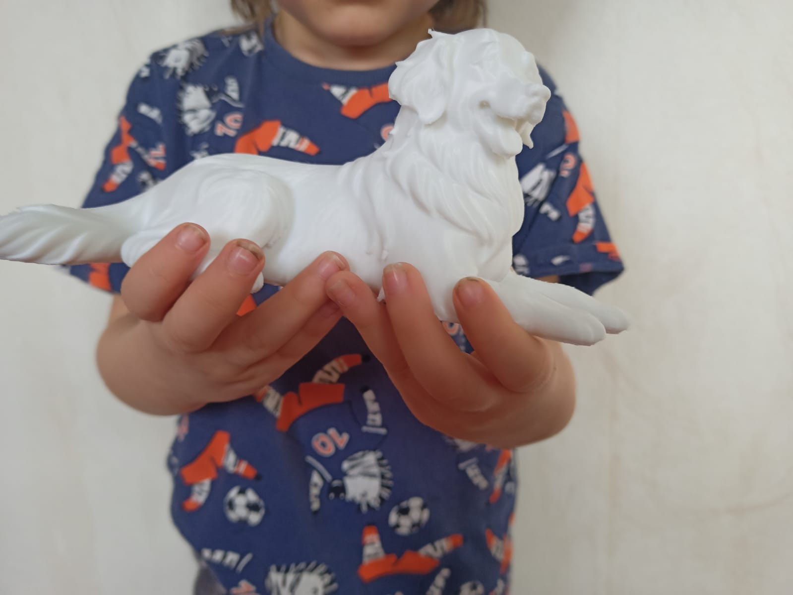 WhatsApp Image 2026-02-12 at 12.17.50